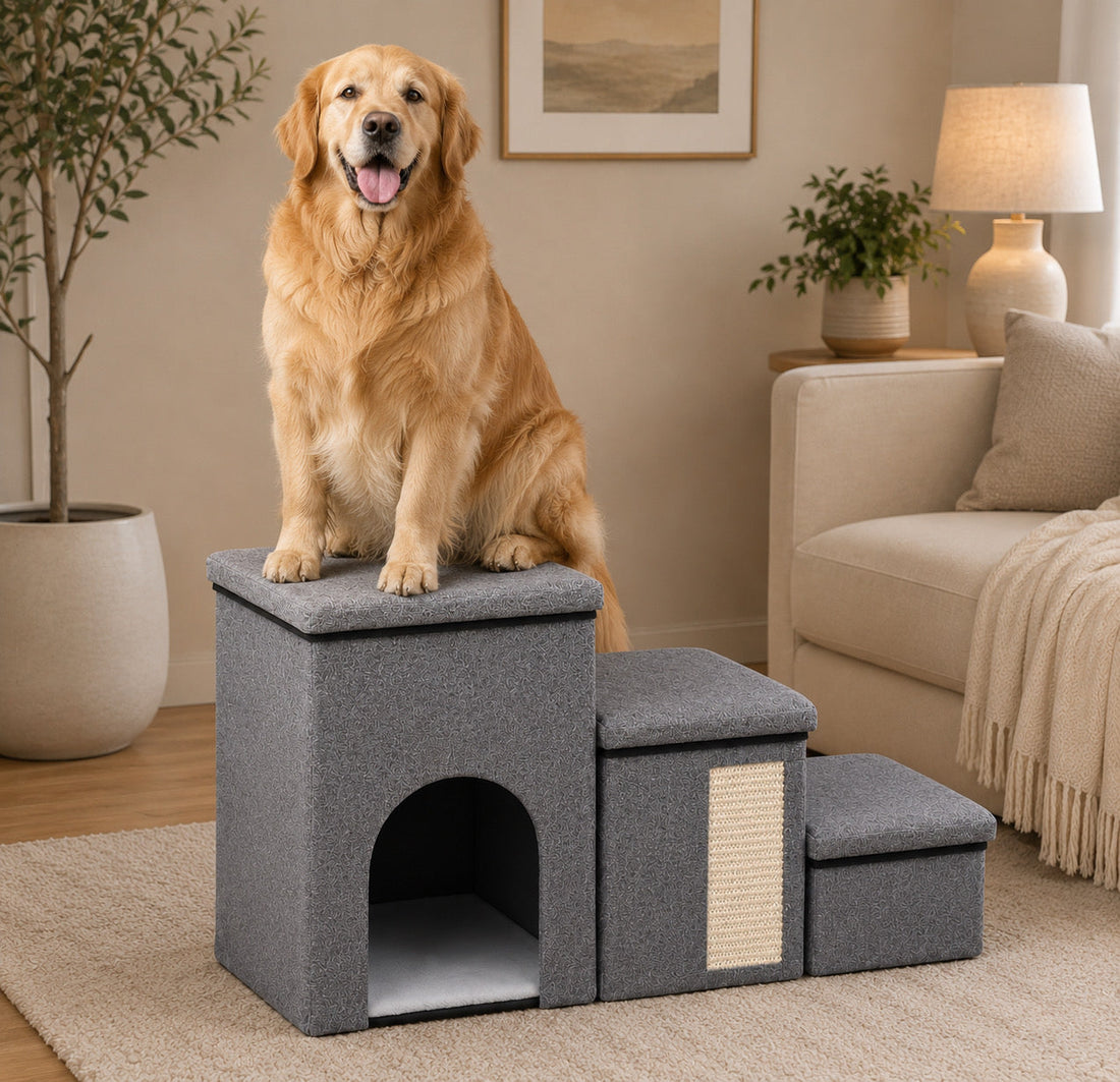 Golden Retriever souriant assis dans un salon cosy