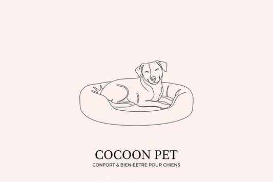 Chien apaisé et confortablement installé dans son panier