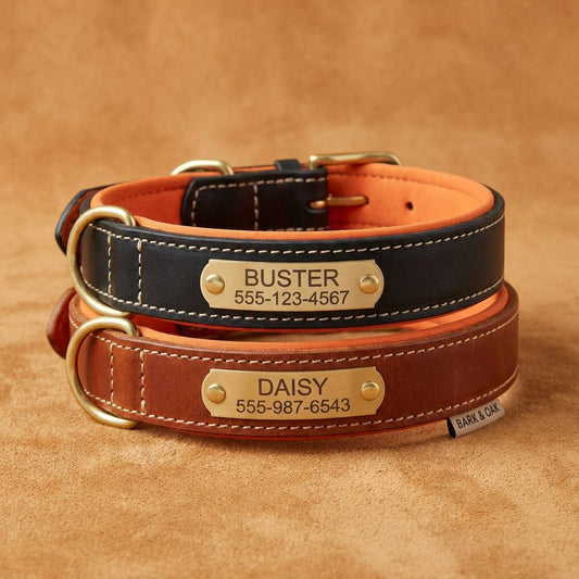 Collier en cuir gravé pour identifier son chien