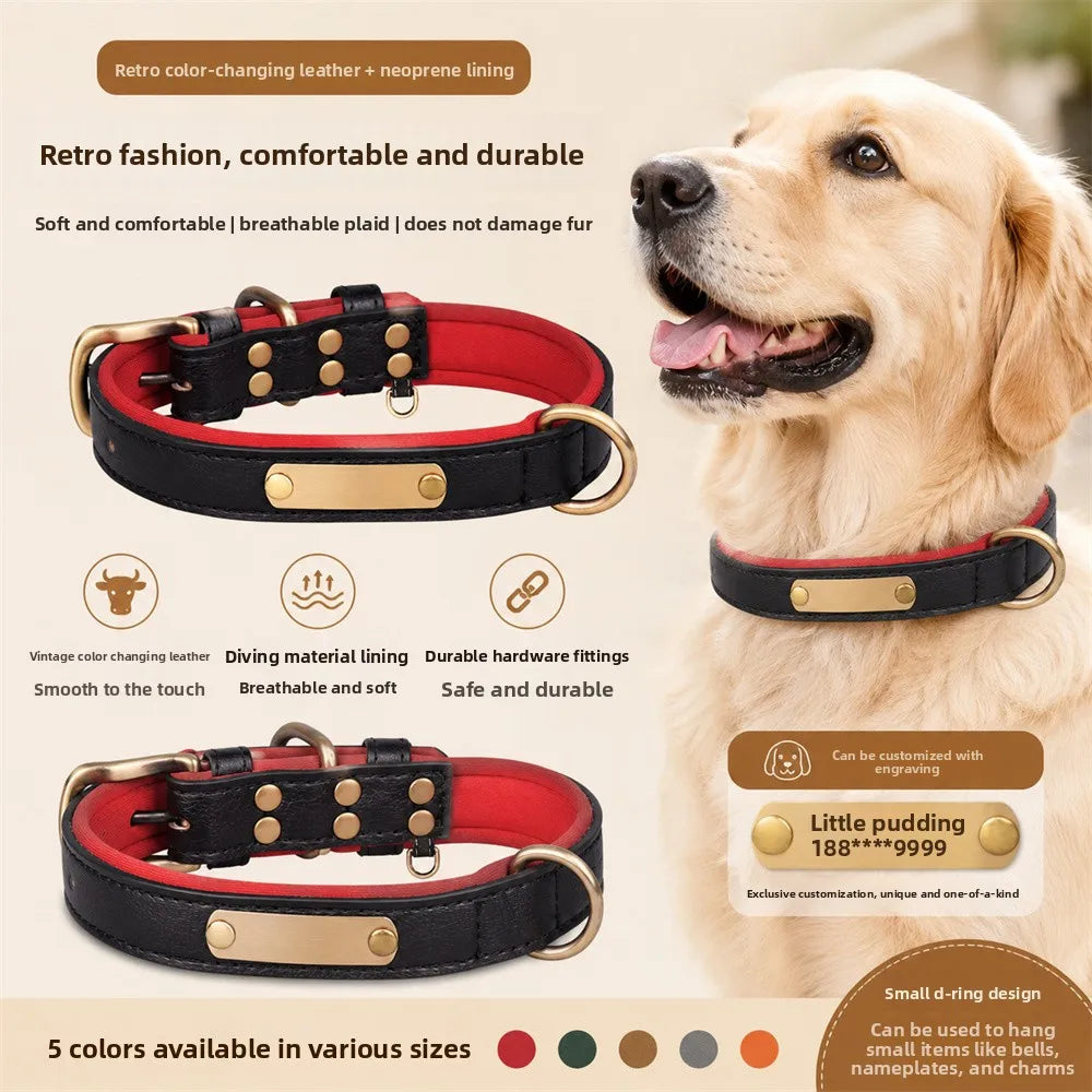 Pack Confort Senior - Collier porté par un chien